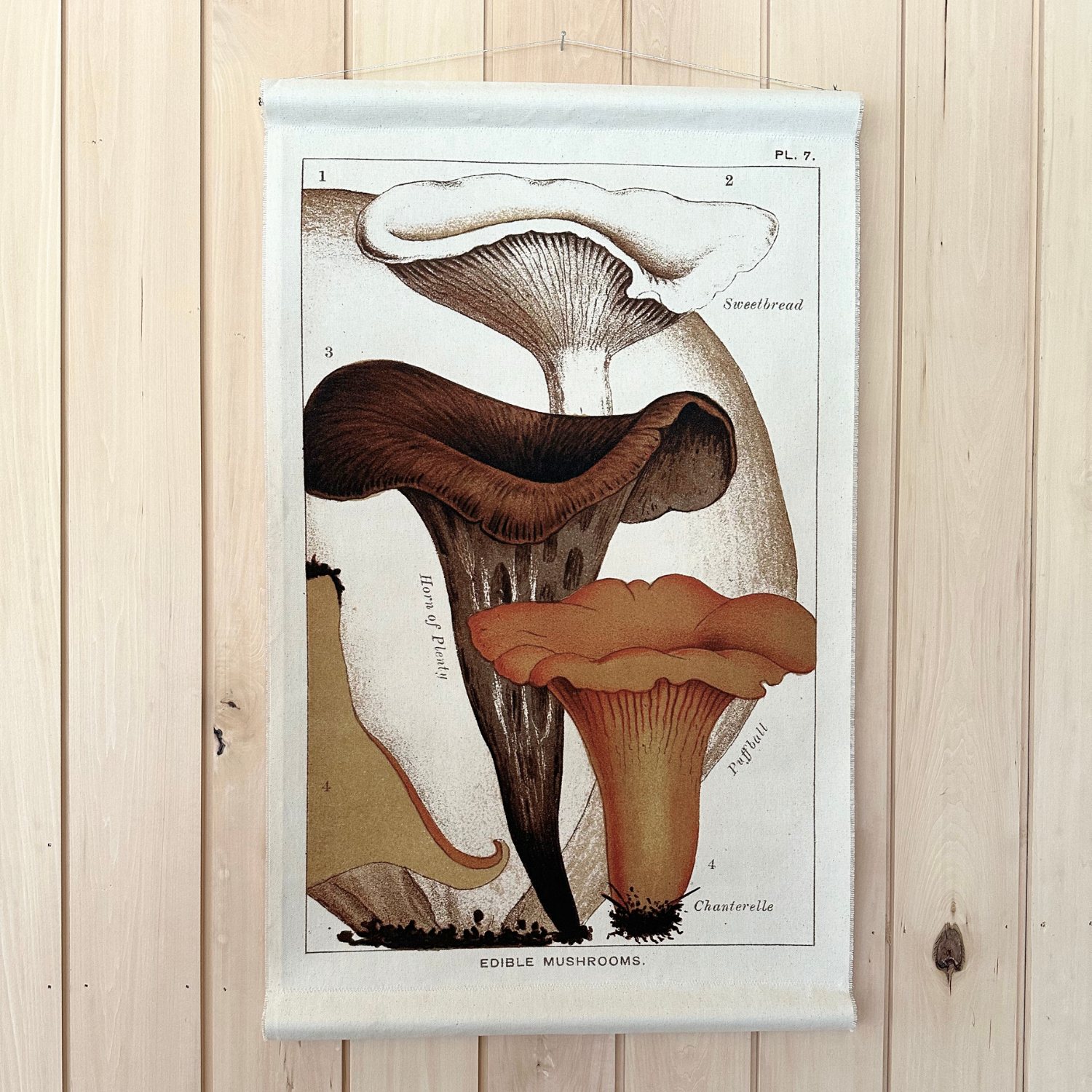 Canvas Wall Hanging - Chanterelle Mushroom